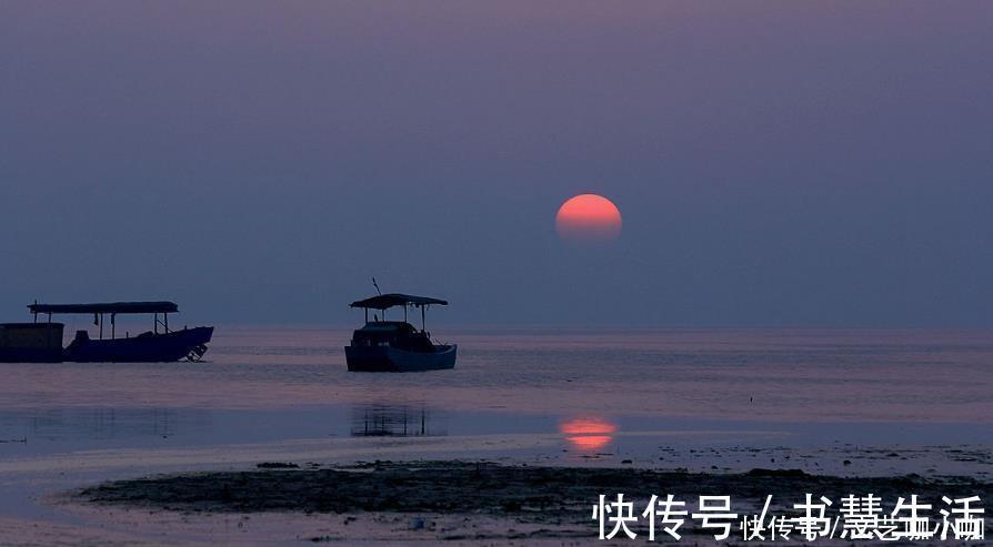 夜市|南方这4座城市，不仅适合过冬，更适合养老。