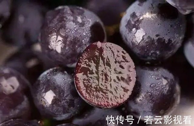 海带|提醒:吃完葡萄1小时之内,切记别碰这3种食物,建议早做了解