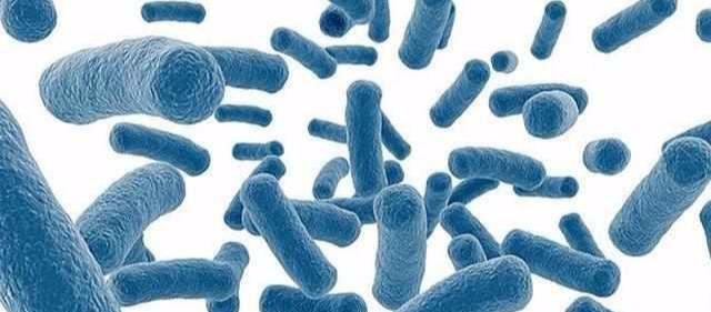 如果有“硅基”生命体，它们在分子水平上就和地球一样吗