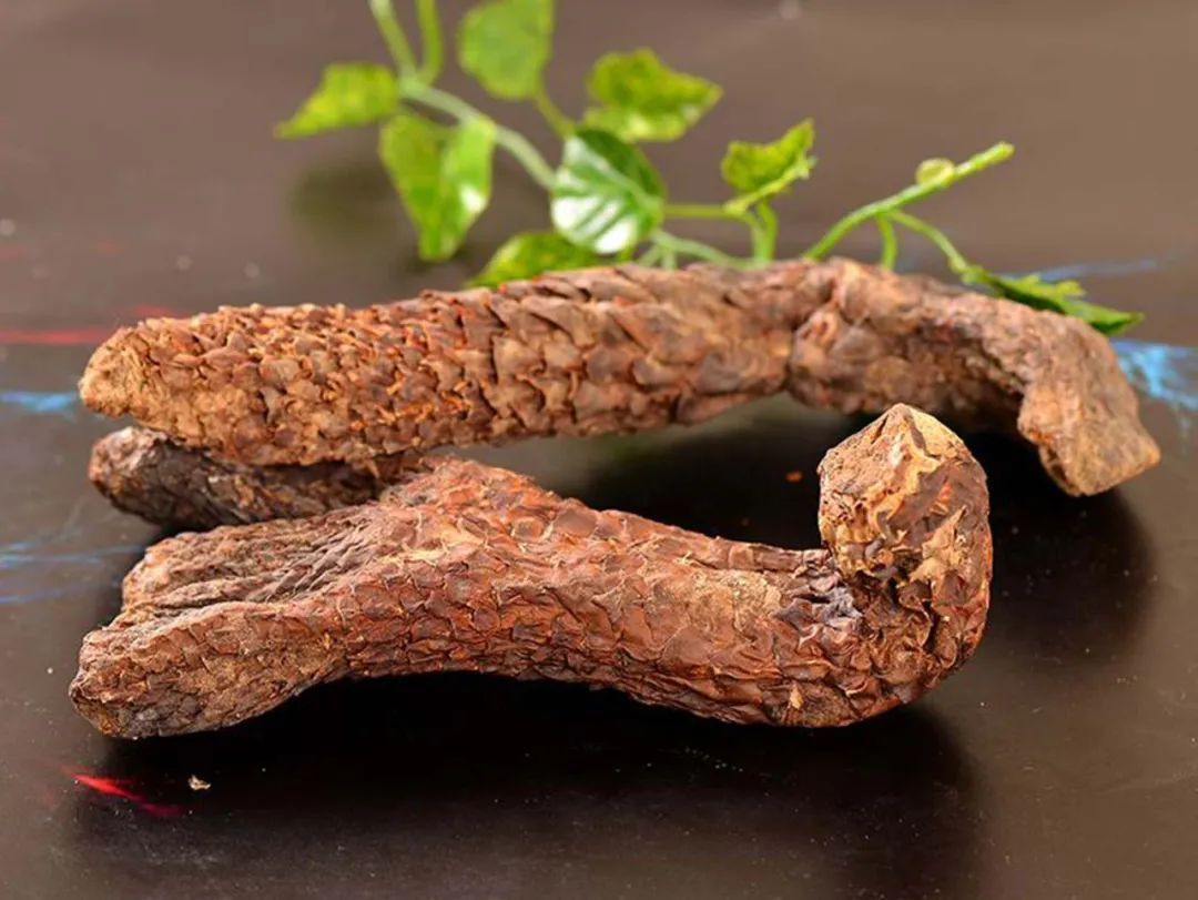 延年益寿|真的有补气养血、延年益寿的中药吗?这4类中药不妨了解一下