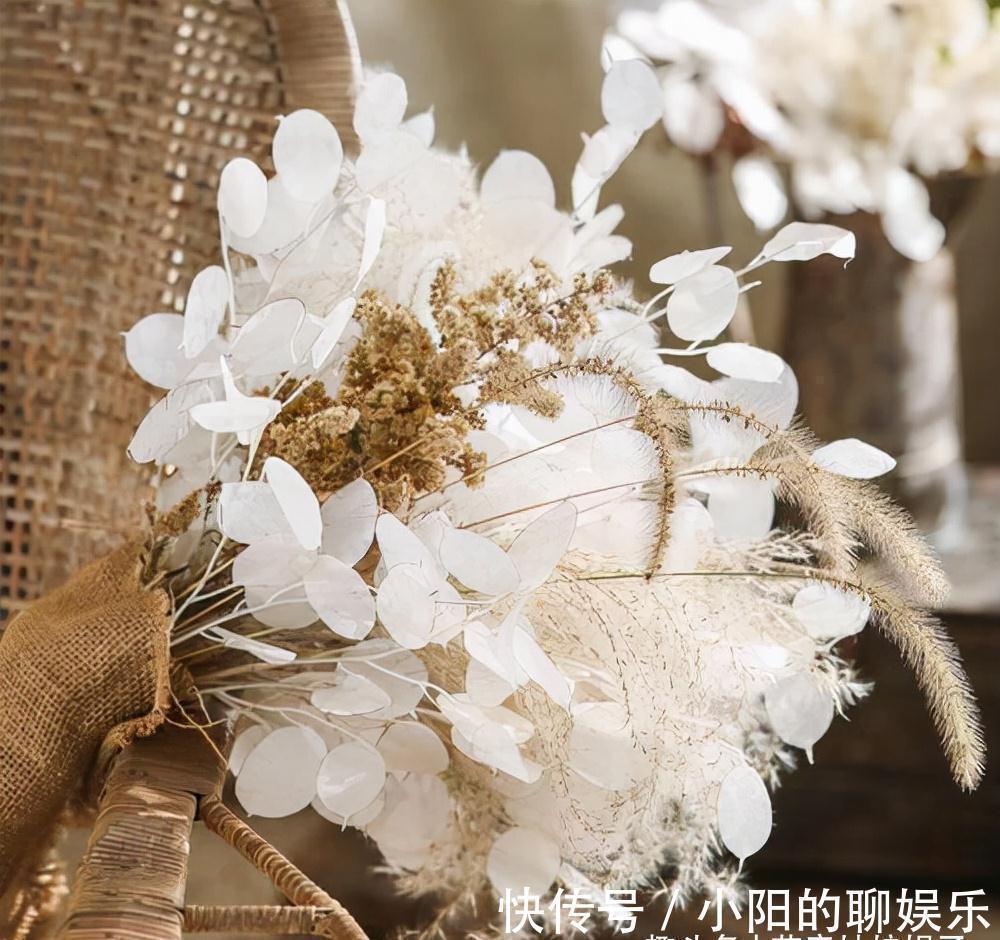 栽培|7种带“钱”字的花,寓意好、观赏价值高,都喜欢在家里栽培