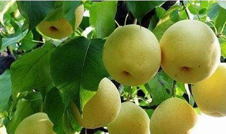 西红柿|女性不想变老,要常吃3物,美容排毒,延缓衰老,气色更好