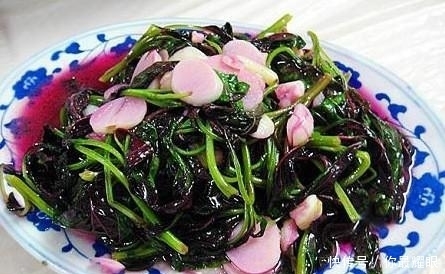 农村|农村人见人爱的“补血菜”,可很多人不认识!现在不妨了解一下
