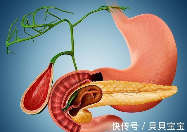 水煮花生|生花生和熟花生,哪个更营养?提醒:不管好坏,这3类人最好少碰