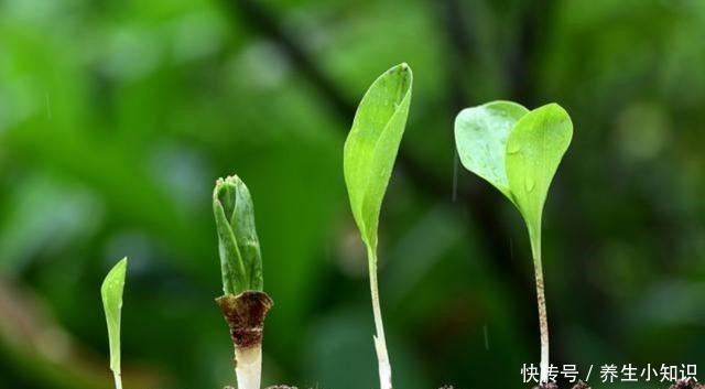 宝宝喂多了会有这些迹象，孩子吃得不是越多越好，会影响大脑发育！