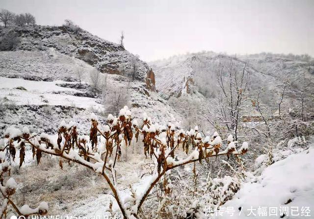 银装素裹|南太行今冬第一场雪来的是那么突然满山银装素裹