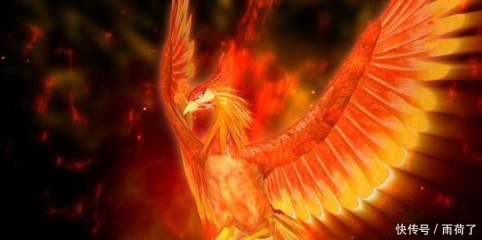 魂兽|斗罗大陆4种特殊的鸟类魂兽,一种不能突破十万年,一种为神兽