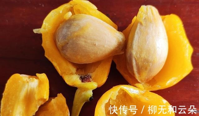 白果仁|鸡汤鲜美可口，酒香微微，鸡肉耙烂，糯软不柴，喝汤吃肉两相宜！