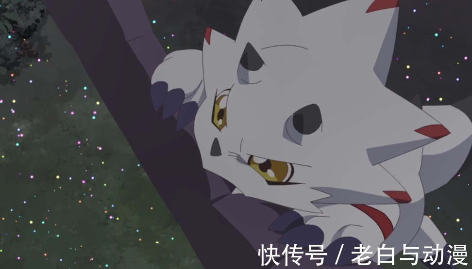 安哥拉|数码宝贝鬼游:伽马兽VS八咫乌兽,获得第二种成熟期