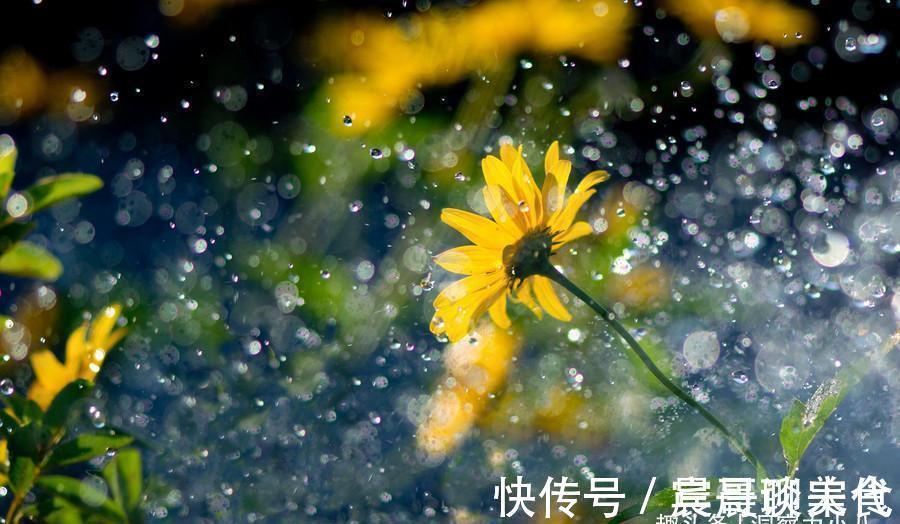 花友|这“三种花”爱淋雨，入春让它们“淋一淋”，撒欢长芬芳小半年