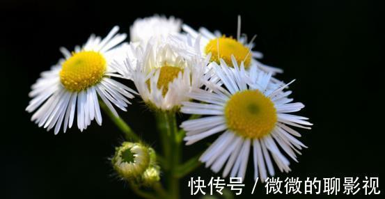 岁月|8月，岁月易逝，痴心难离，回首旧爱，两心相许，牵手缠绵一生