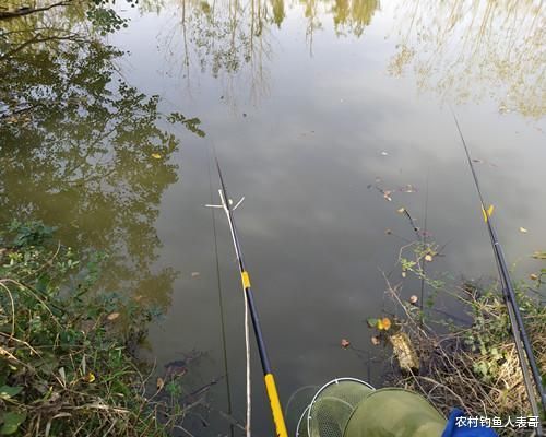 冬季野钓找好钓位看水温,摸清影响水温的三要素,才能找到好钓位