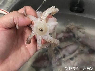 吃“40口肥肉”也能减肥,最爱蒜蓉粉丝鱿鱼啦美味极了