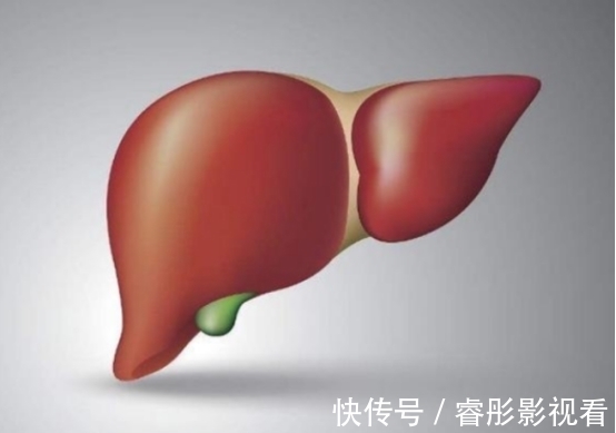 肝脏|吃一次等于8斤芹菜,肝科主任直言:若爱吃,慢慢养成“婴儿肝”