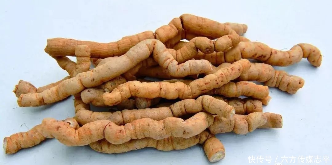 创建全域旅游示范区丨高要旅游手信篇:河台