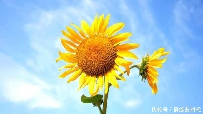 特点|调查显示:长寿的人都有这5个“特点”,若占2个以上,恭喜你