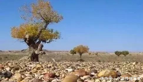 这9种的石头一定要带回家