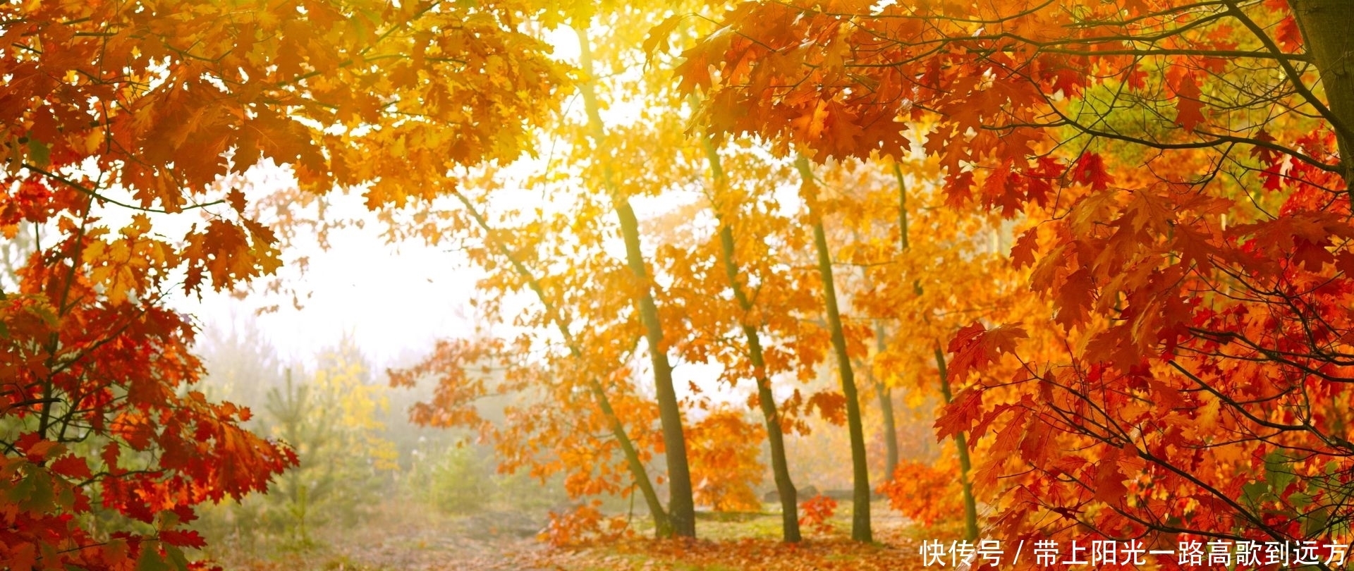 远胜|咏叹秋天的诗文很多,此人却以28个字,远胜唐诗宋词