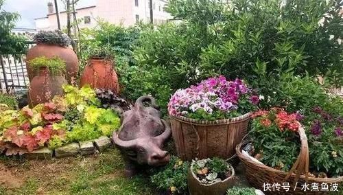 留下|不要的菜篮子扔还是不扔留下养多肉,掌握5步操作美翻天