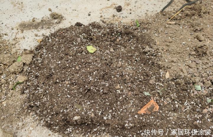 室内园土养不好花,添加2种“小东西”,变成养花通用“营养土”