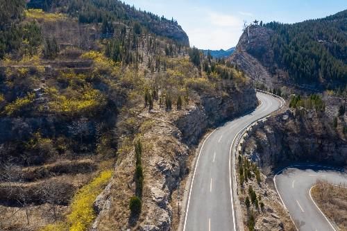 探寻大山深处的济南金刚纂村，盘山公路蜿蜒曲折，村里有两棵古树