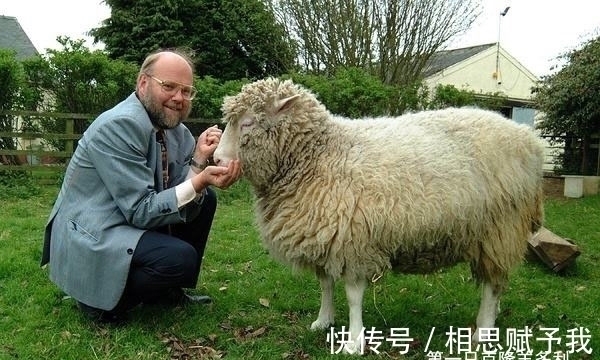 弗兰肯斯坦@苏联制造20条双头狗,冷战对手不甘示弱,美国人又制造出什么?