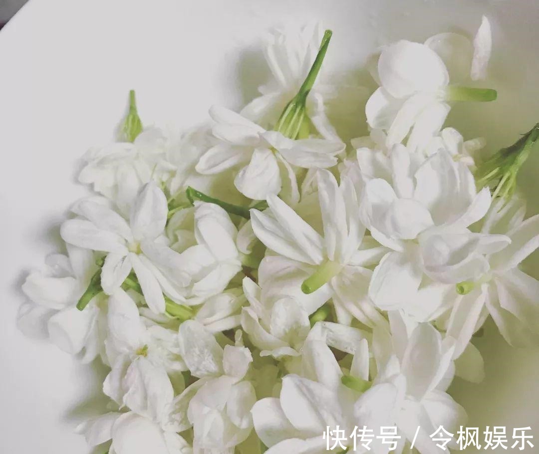 老中医最爱的8种花,一盆堪比小药箱,摘片叶子就能泡水喝!