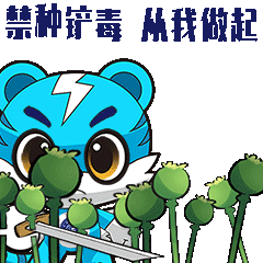 罂粟幼苗竟“撞脸”多种蔬菜！快来看看如何识别~