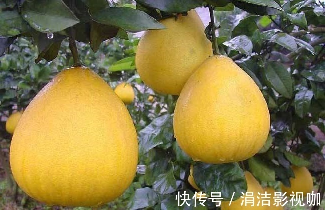 子宫|高温来袭，女人多吃3种水果，清热解毒、抗衰老，子宫也光滑了