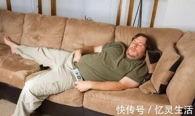 猪肚|健脾“冠军”找到了,不是猪肚,平日铆足劲吃,脾胃1天比1天壮