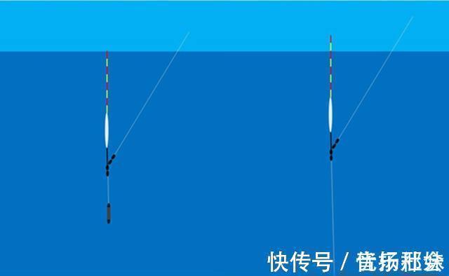 调漂的本质是找底，如何判断是否到底？是钓组什么部位到底？