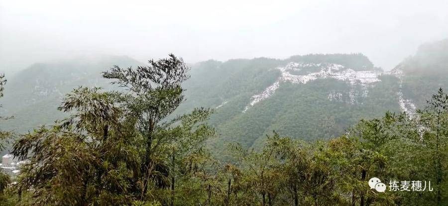 大竹海|正月下江南（1）雨中游太湖古镇，游览雪后中国大竹海