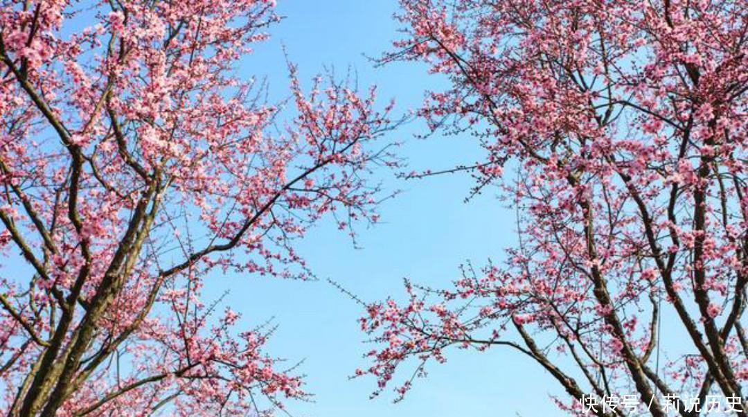 南溪弄水，回望山园梅花|杨万里一首有趣的咏梅诗，开篇就显得与众不同，结尾则是千古名句