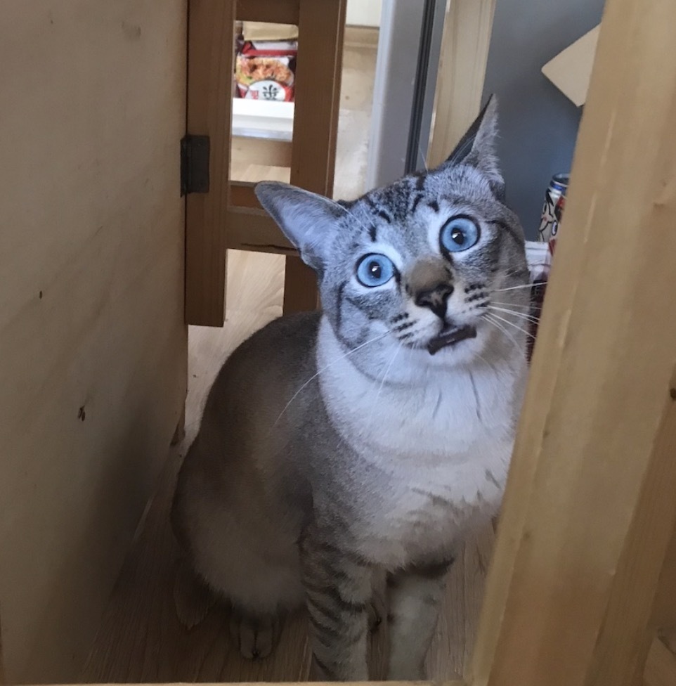 艾滋|9个月男婴被查出艾滋!父母悲痛欲绝!万万没想到还有更可怕的