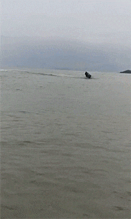 |搞笑GIF:只要功夫深 铁柱磨成针