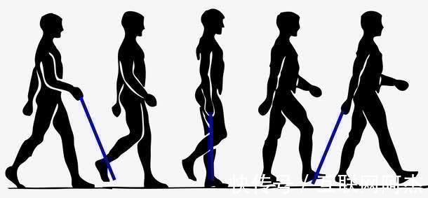 训练营|王牌减肥训练营资深教练教你,如何走路减肥,走路减肥的正确方法!