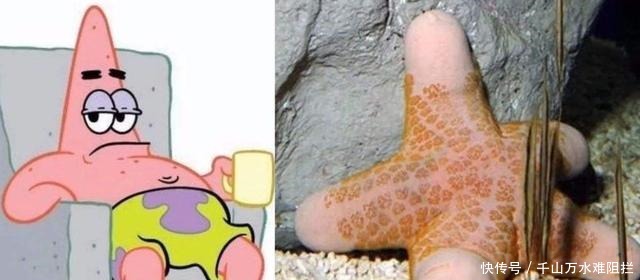 章鱼|《海绵宝宝》的真实样子大公开,蟹老板被打回原形,章鱼哥变了样