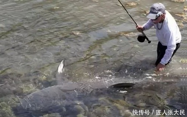 垂钓者|钓鱼最忌讳的几种心理，一个老钓鱼人的忠告