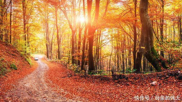 宋词里的秋:晏几道看透秋色、辛弃疾听断秋声、吴文英历尽秋意浓