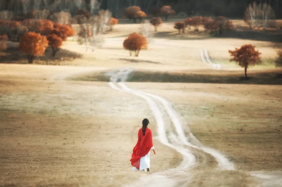 梁鸿|读懂《滕王阁序》的10句名言,就可以笑对人生