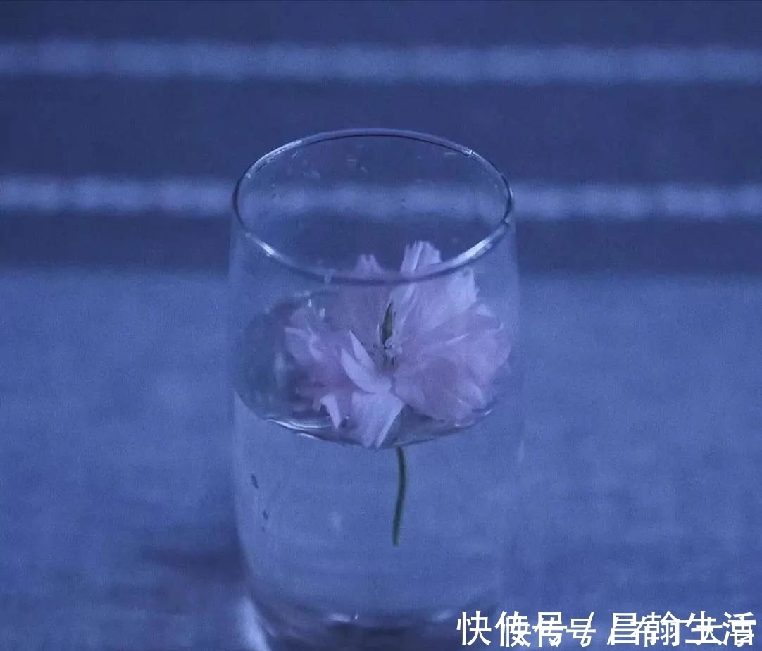白羊座|不喜欢伪装的三个星座,没有人设,懒得假装