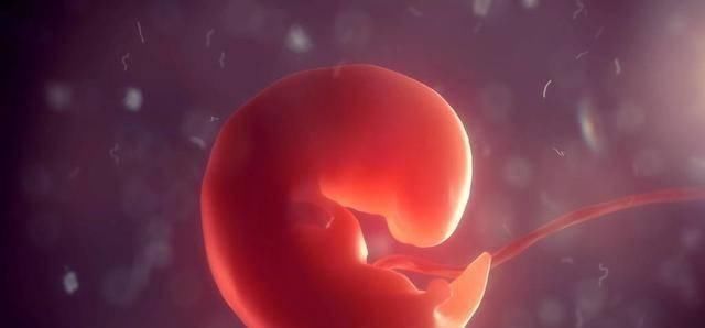 孕囊|孕早期，孕妈第一次产检，如果三个指标合格，恭喜你，胎儿很健康