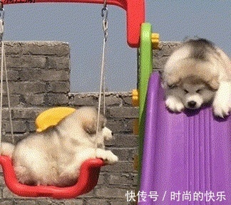 |搞笑段子:女友昨天第一次去我的家中拜访,吃饭时问我父亲的属相