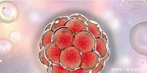 试管婴儿|试管婴儿反复失败问题到底出在哪?该继续还是坚持?