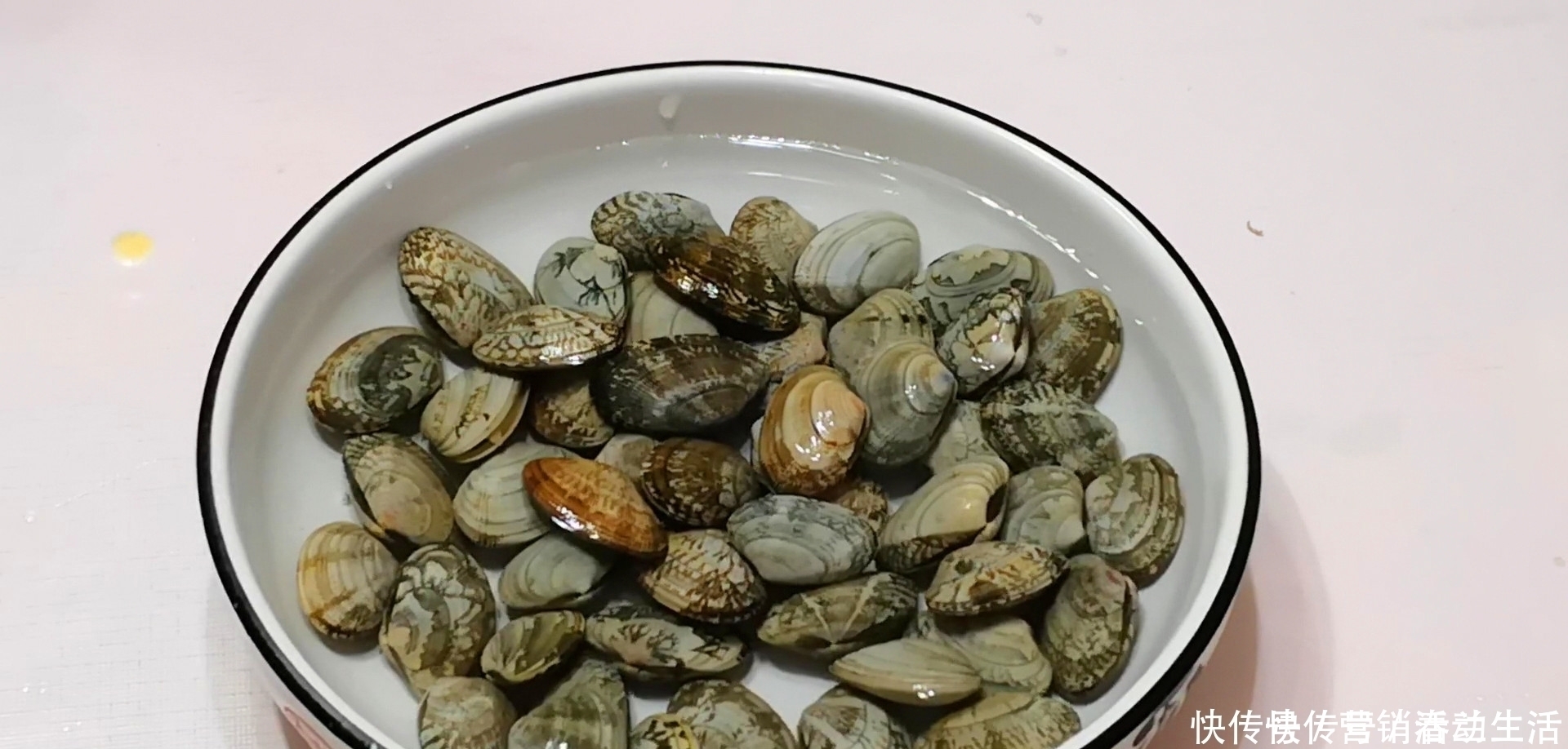 中薪|它和絲瓜一起做湯是絕配,鮮美又開胃,夏天喝比骨頭湯還過癮