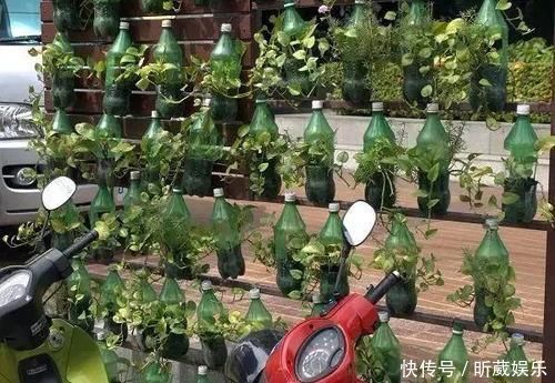 8个用塑料瓶制作的景观，有人觉得好看实用，但有人说丑爆了