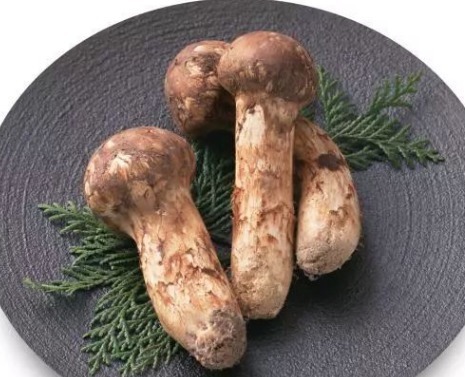 菊花|女性不愿老太快，建议吃的食物，皮肤白斑，美味健康，能祛皱润肤