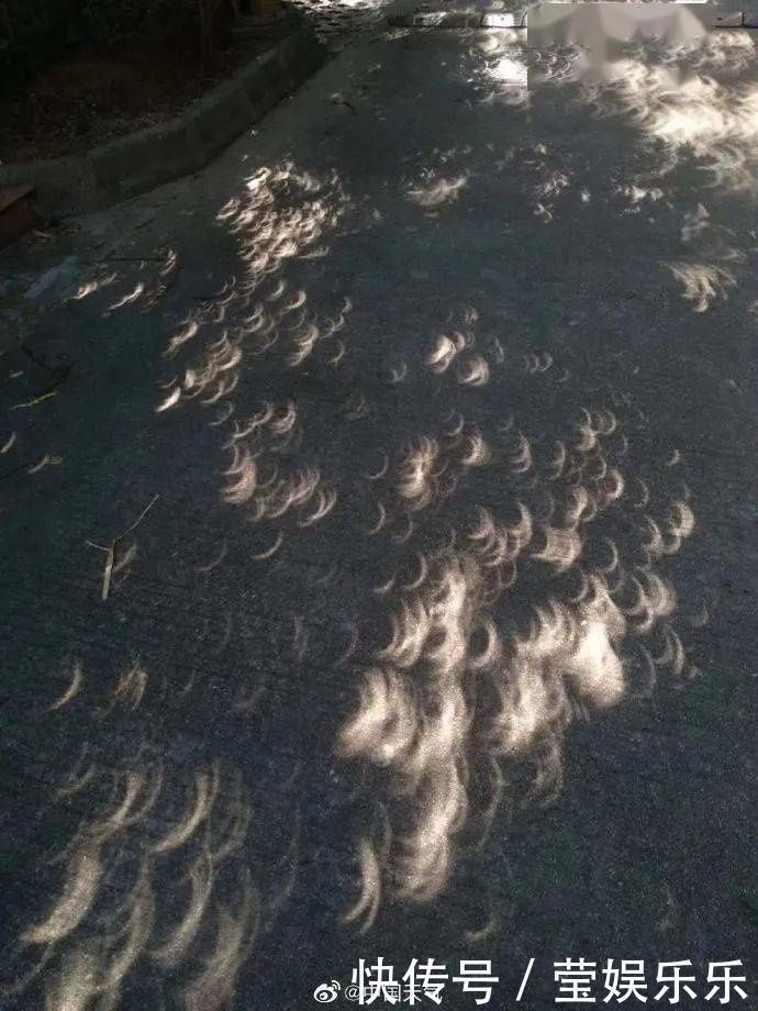 震撼日环食精华都在这里了看了网友的P图已笑喷……