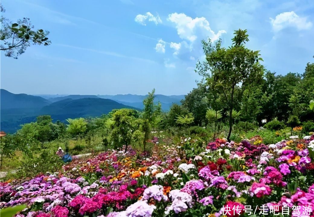 老年|原来河南有如此美艳的仙山，水秀山明，步步皆景，太惊艳了