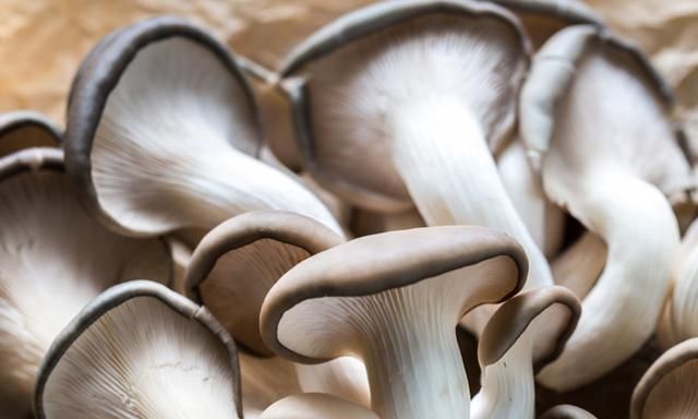 天冷，遇到这菜要多吃，不炒不煲汤，简单一做，外酥里嫩，真好吃